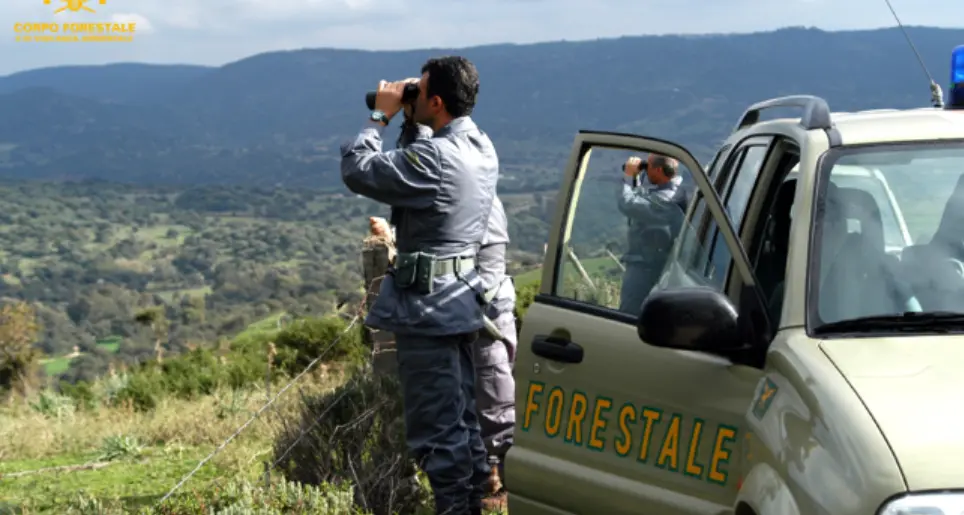 Battuta di caccia grossa in oasi faunistica, tre bracconieri in fuga