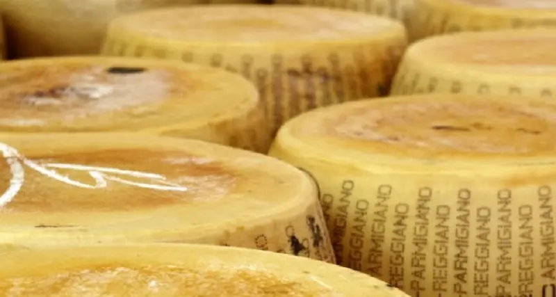 Operazione antidroga: cocaina nascosta nelle forme di Parmigiano