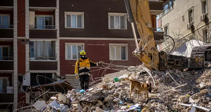 Terremoto in Turchia: uomo di 45 anni salvato dopo 278 ore