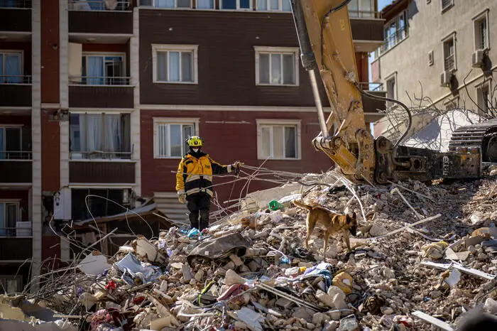 epa10472664 A member of Colombian USAR team with his dog checks the a site of collapsed buildings  after a powerful earthquake, in Hatay, Turkey, 17 February 2023. Almost 44,000 people have died and thousands more are injured after two major earthquakes struck southern Turkey and northern Syria on 06 February. Authorities fear the death toll will keep climbing as rescuers look for survivors across the region.  EPA/MARTIN DIVISEK