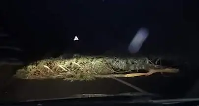 Ogliastra. Alberi e lampioni abbattuti e strade chiuse a causa delle raffiche di maestrale