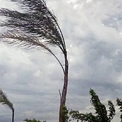 Forti venti in arrivo: Cagliari chiude parchi e cimiteri per la giornata di domani, lunedì 28 luglio