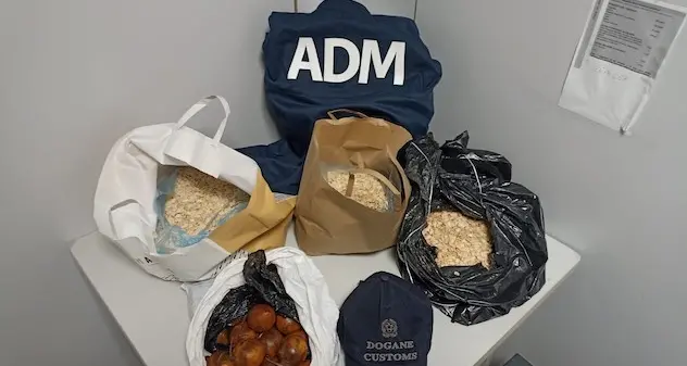 Alghero. Semi e frutta senza identificazione sequestrati in aeroporto