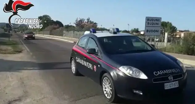 Budoni. Droga, semi di marijuana e materiale per il confezionamento: una denuncia