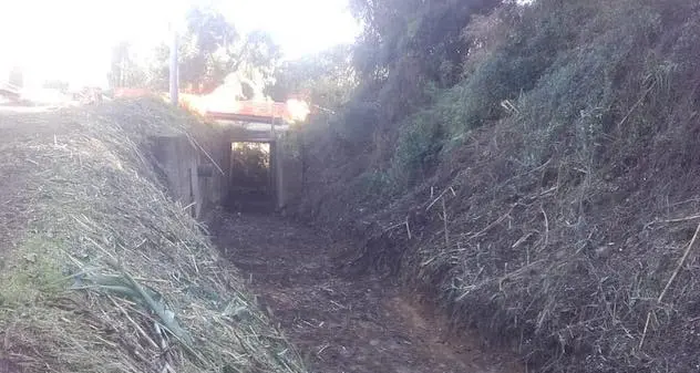 Baunei. Ripuliti canali e alvei: ripristinate funzionalità idrauliche e condizioni di sicurezza