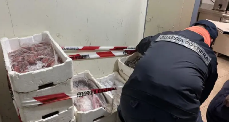 Pesca abusiva ad Alghero: 85 kg di prodotto ittico sequestrati