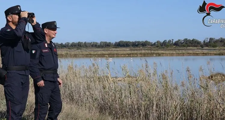 Bracconaggio nel Sud Sardegna: sequestrate 190 trappole, una denuncia