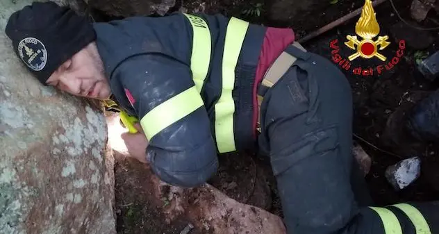 Olzai. Asia salvata dai vigili del fuoco