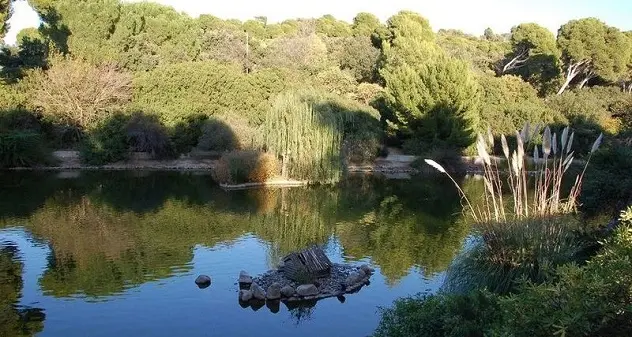 Forte vento a Cagliari: chiusi i parchi di Monte Urpinu e Bonaria