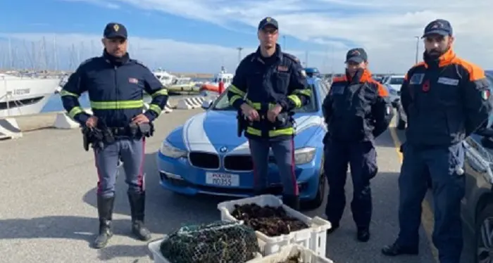 Sorpresi dalla Polizia con 70 kg di ricci di mare in auto