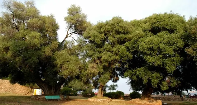 Baunei. Una nuova luce per Santa Maria Navarrese