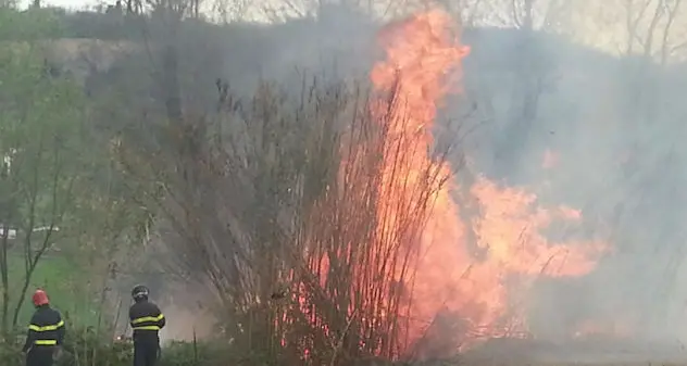 Incendi fuori stagione: a fuoco sterpaglie e canneti a Tortolì e Ilbono