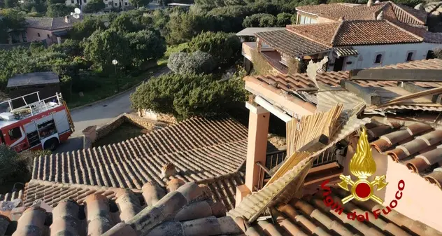 Raffiche di maestrale in Gallura: cadono alberi e cartelli