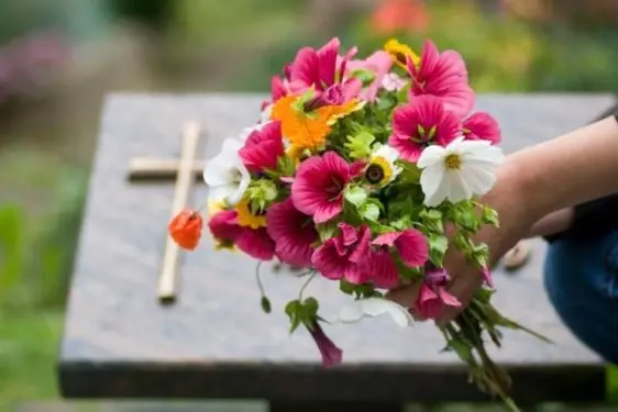 <p>Foto simbolo</p>\\n