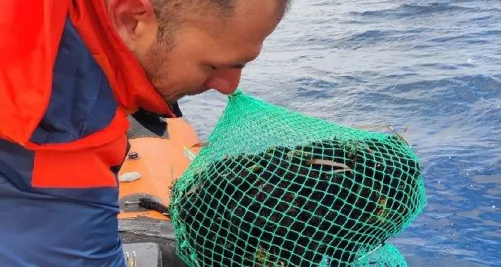 Pesca abusiva. Guardia Costiera rilascia in mare a Stintino circa 600 ricci