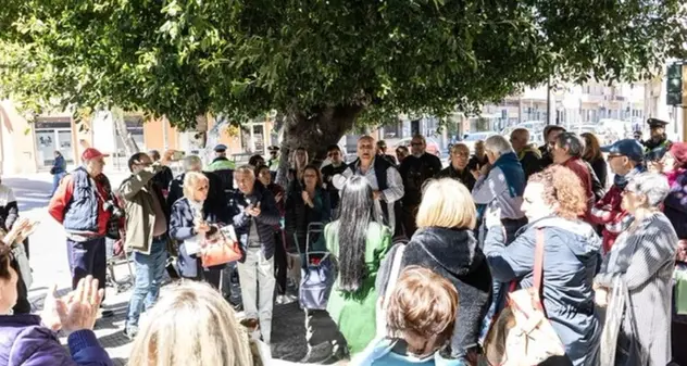 Monserrato, in piazza per salvare i ficus centenari