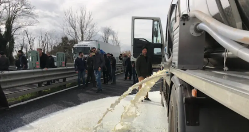 Pastori a processo per blocco stradale: sit-in di solidarietà davanti al Tribunale di Nuoro