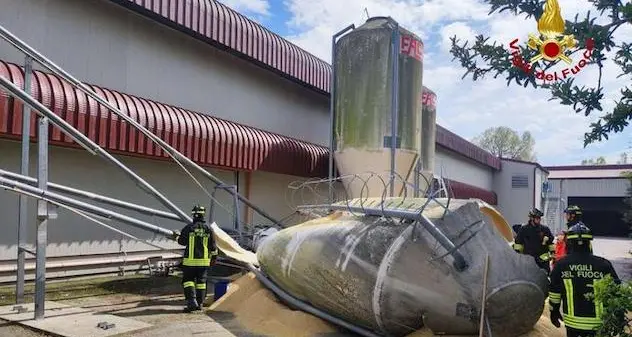 Crolla un silos di mangimi e colpisce un’auto: morti tre giovani