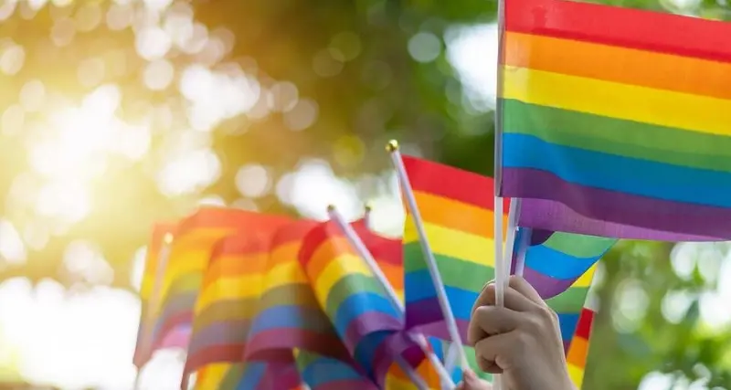 Quindici Paesi dell'Ue contro la legge anti-Lgbtq+ dell'Ungheria. Ma l'Italia no