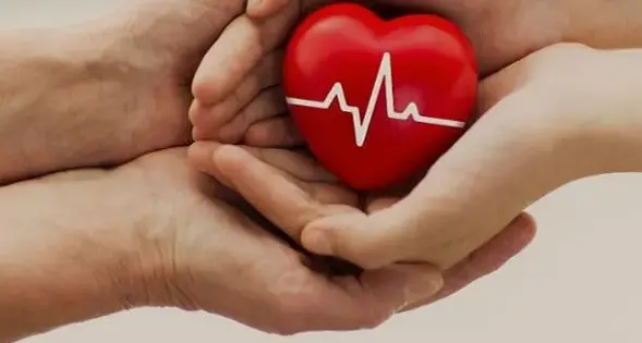 Donazione organi: comuni sardi spiccano a livello nazionale per generosità