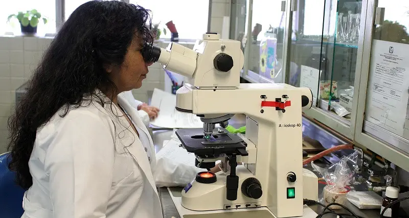 Prospettive immunologiche in onco-ematologia, se ne parla in un convegno a Sassari