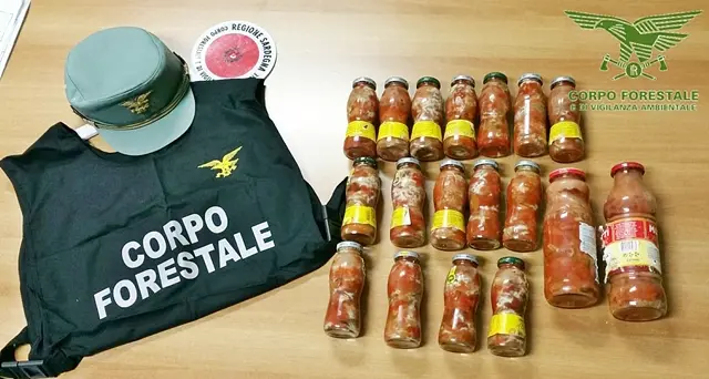 Pescatori di frodo fermati dai Forestali, scatta la maxi multa e il sequestro di 5 Kg di ricci di mare