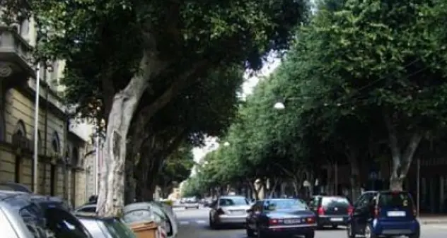 Cagliari, da lunedì stop alle auto in Viale Trieste