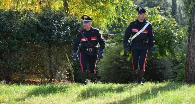 Villacidro. Uccidevano animali per mero divertimento con mezzi di caccia proibiti: denunciati 3 allevatori