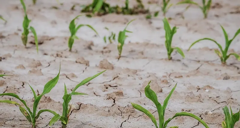 Clima, nel 2022 in Europa caldo estremo e siccità diffusa