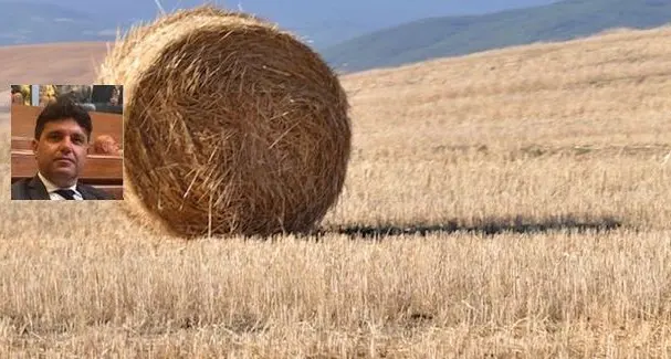 Agricoltura. Progressisti: “Legge pratiche arretrate ferma al palo, Commissioni occupate dallo sblocca-poltrone”