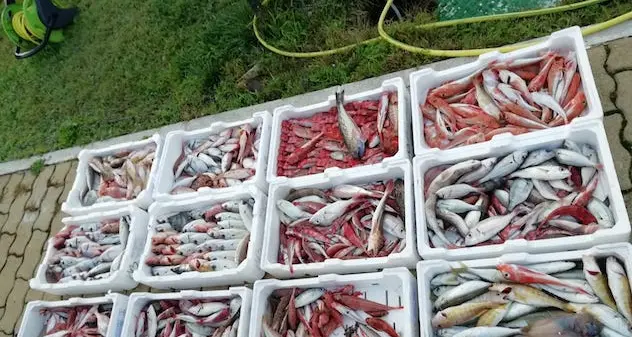 Blitz della Guardia Costiera al mercato ittico di Viale La Playa