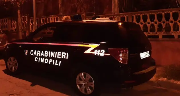 Blitz all'alba: quattro arresti per ricettazione di armi clandestine, porto abusivo di armi e caccia di frodo