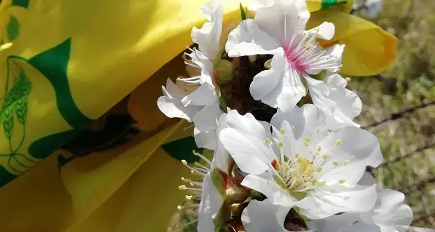 L’allarme di Coldiretti: “La primavera anticipata espone l’agricoltura al pericolo delle gelate”