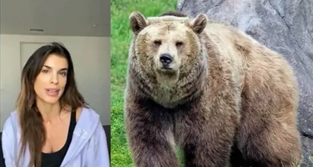 L'appello di Elisabetta Canalis: \"Non uccidete l'orsa Jj4, denota scarsa intelligenza e poca compassione\"