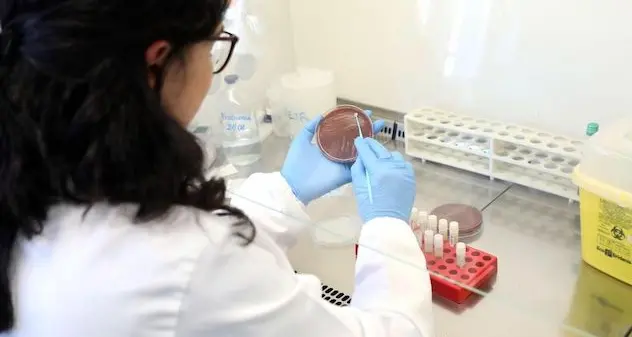 Coronavirus. È precaria la dottoressa che ha isolato il virus in Italia