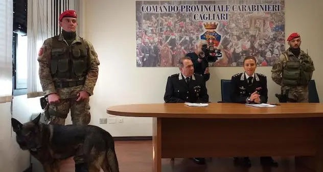 Cacciatori di frodo, tra gli arrestati c'è anche \"Massimino\", il boss del narcotraffico internazionale