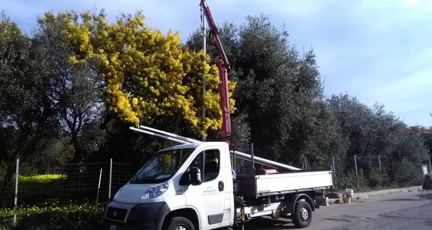 Porto Torres. Dal Comune nuovi fondi per l’illuminazione pubblica