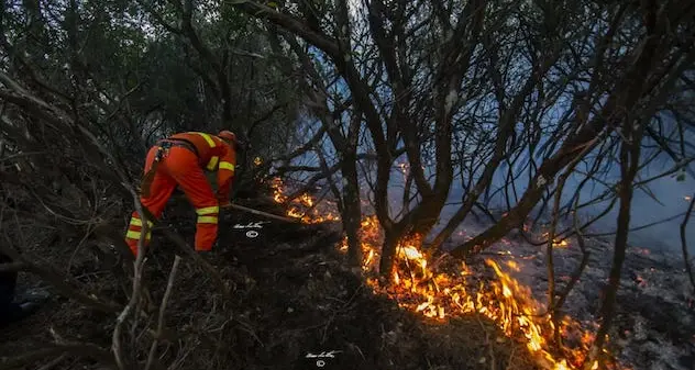 Fiamme in Ogliastra: incendi a Lanusei, Gairo, Triei e Lotzorai. Il maestrale rende difficili le operazioni di spegnimento
