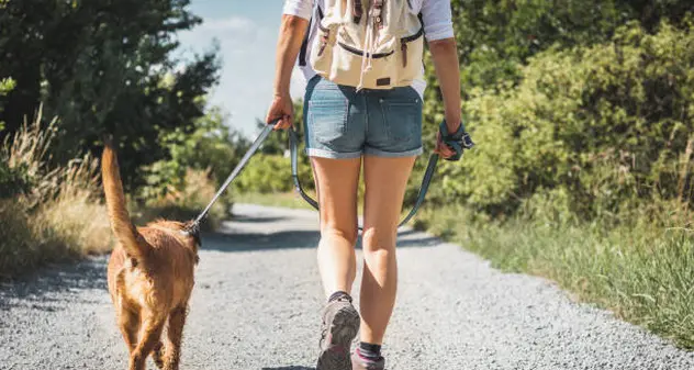 A passeggio con il cane per riscoprire se stessi e la natura