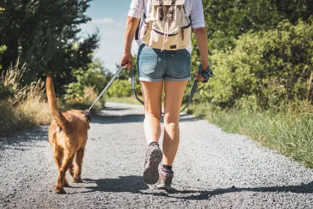 Female tourist with backpack and mixed breed dog outdoors at summer.