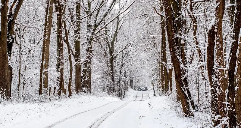 Usa, bambino sopravvive due giorni nella foresta mangiando neve