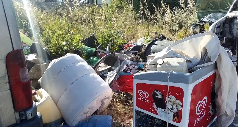 Cagliari, \"foresta d'aliga\" nella zona di San Paolo: la denuncia di Valerio Piga