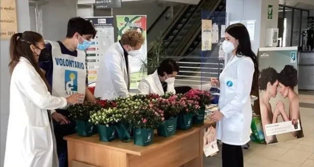 L’azalea della ricerca trionfa al Policlinico di Monserrato