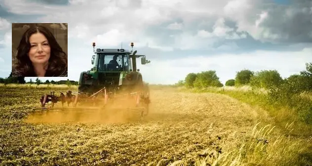 Disbrigo delle pratiche agricole. Murgia: “Argea e Laore lavorano per accelerare i pagamenti”