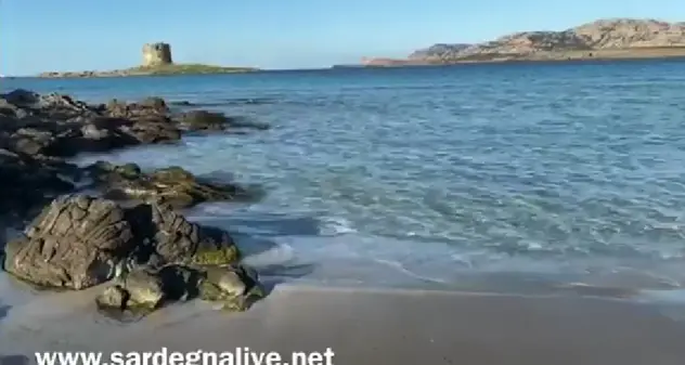 La spiaggia di Stintino erosa da mare, venti e Posidonia