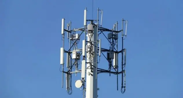 Fa installare antenna 5G nel suo podere e si ritrova testa di maiale infilzata nel cancello