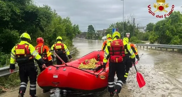 Alluvione Emilia Romagna, gommoni come l'Arca di Noè per salvare pappagalli, cani e gatti