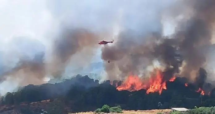 Corrias e Cocco: \"Servono più uomini nella campagna contro gli incendi\"