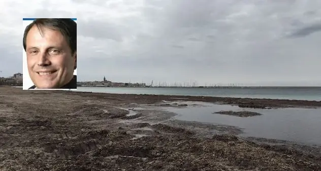 Via libera alla legge sulla posidonia spiaggiata. Psd’Az: “Consentire ai comuni costieri di rendere fruibili le loro spiagge”