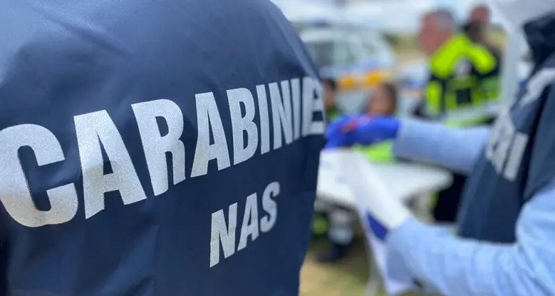 Sporcizia e insetti in un circolo sportivo del Nuorese: Nas chiudono il locale